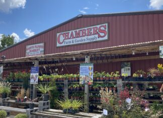 Chambers Fall Festival Sept. 17