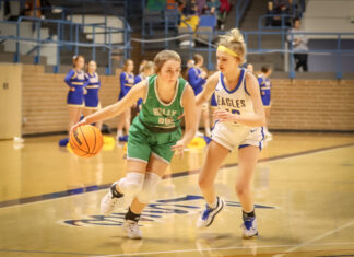 ‘We will not give up, no matter the circumstance’: Holly Pond’s Lauryn Hoffman excited for junior season