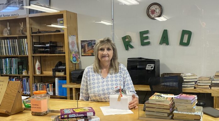 Meet Melody Camp, Holly Pond’s dutiful librarian