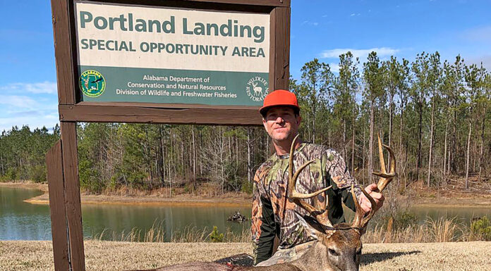 WFF expands SOA hunting opportunities
