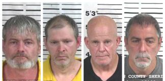 CCSO arrest roundup