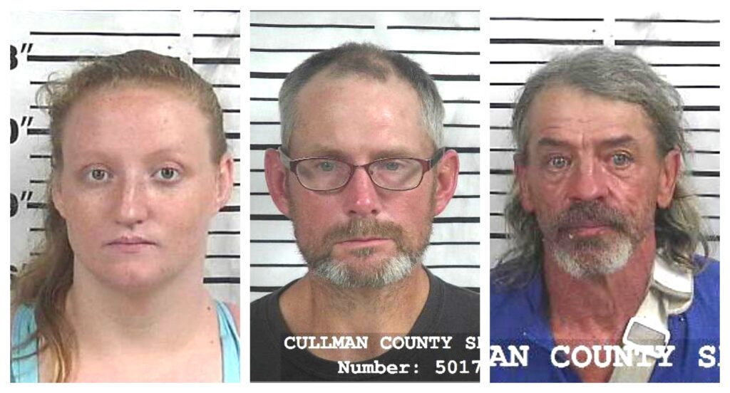 CCSO arrest roundup The Cullman Tribune