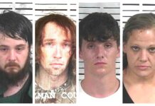CCSO arrest roundup