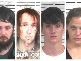 CCSO arrest roundup