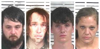 CCSO arrest roundup