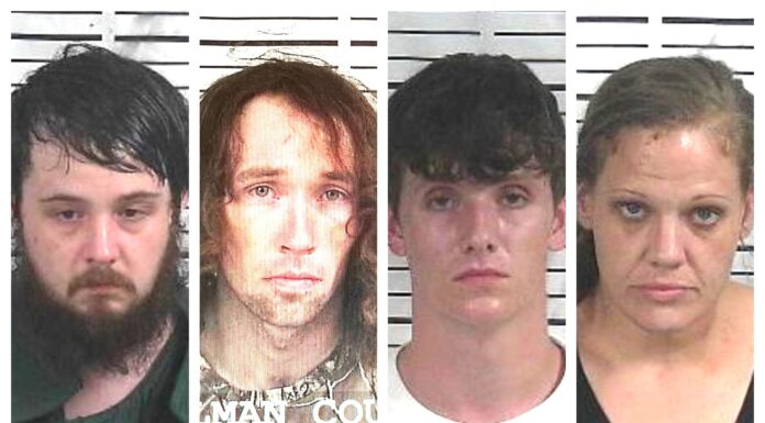 CCSO arrest roundup
