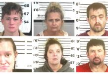 CCSO arrest roundup