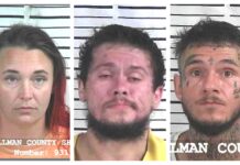 CCSO arrest roundup