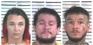 CCSO arrest roundup