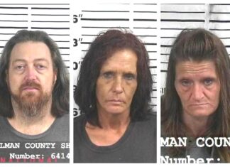 CCSO weekend arrest roundup