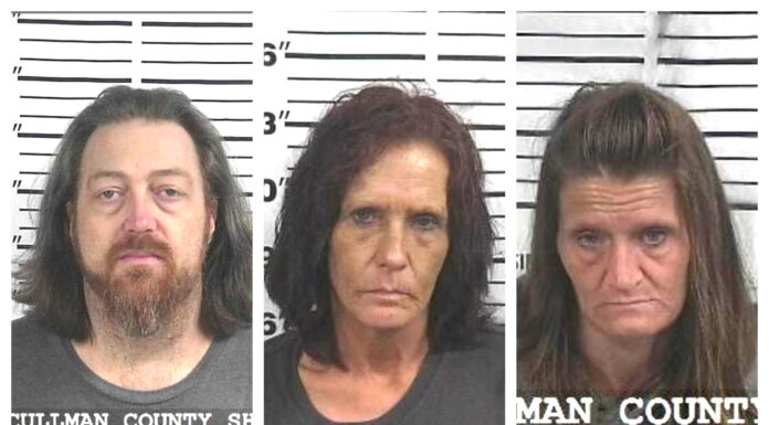 CCSO weekend arrest roundup