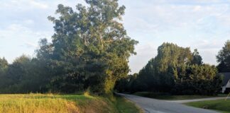 Hanceville City Council approves inaugural Christmas on Commercial event, resurfacing of Hopewell Rd.