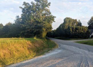 Hanceville City Council approves inaugural Christmas on Commercial event, resurfacing of Hopewell Rd.