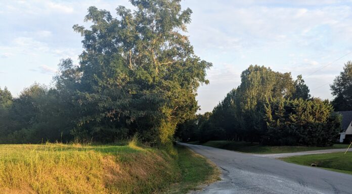 Hanceville City Council approves inaugural Christmas on Commercial event, resurfacing of Hopewell Rd.