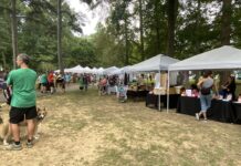 Sweet turnout at SugarFest in Arab