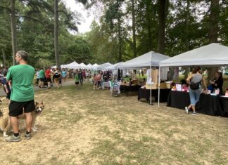 Sweet turnout at SugarFest in Arab