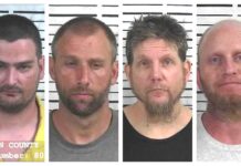 CCSO weekly arrest roundup