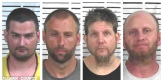 CCSO weekly arrest roundup