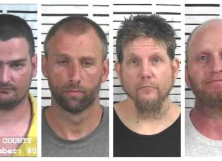 CCSO weekly arrest roundup