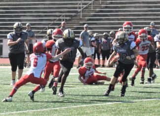 Cyclones sweep Cullman County Youth Football Championships