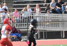 Cullman County Youth Football semifinals scoring recap, championship games set for Oct. 29