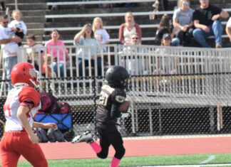 Cullman County Youth Football semifinals scoring recap, championship games set for Oct. 29