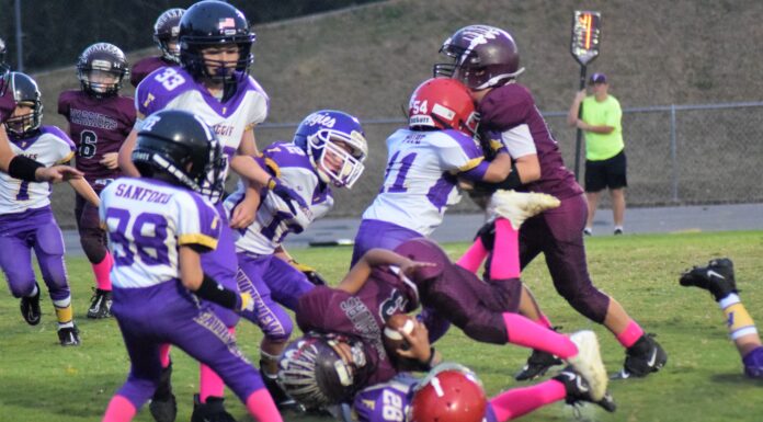 Cullman County Youth Football week 9 scoring recap, playoffs set to begin Oct. 22