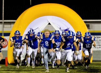 PREP FOOTBALL: Cold Springs falls to Tuscaloosa Academy 41-22