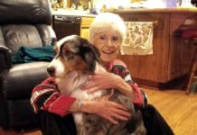 Paws for Mental Health coming Saturday, Oct. 29