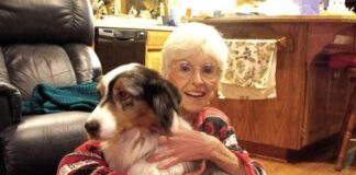 Paws for Mental Health coming Saturday, Oct. 29