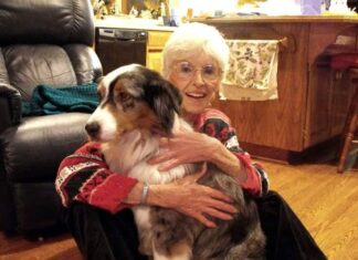 Paws for Mental Health coming Saturday, Oct. 29