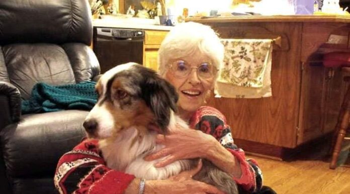 Paws for Mental Health coming Saturday, Oct. 29