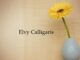 Obituary: Elvy Calligaris