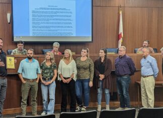 Cullman City Council honors WildWater staff, amends procedures for public comments