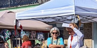 Hanceville festival spotlights downtown