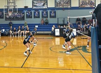 PREP VOLLEYBALL: Addison downs Central Florence on senior night