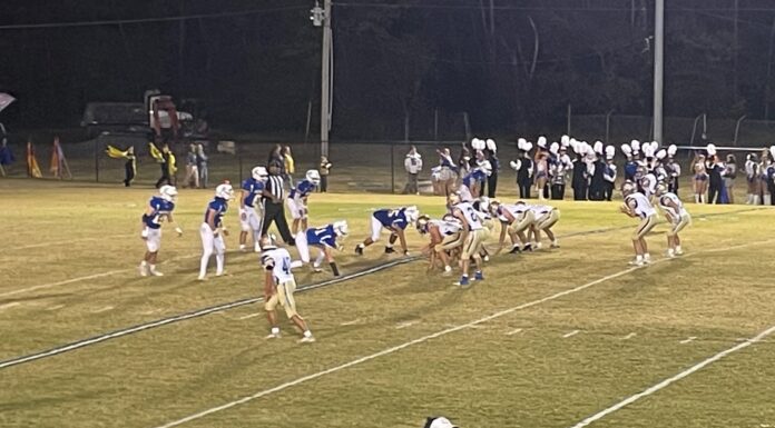 PREP FOOTBALL: Addison collects 20-7 win at Falkville