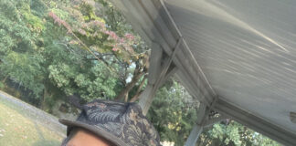 Cullman man on his way to care for stray cat receives free car from Good Samaritan