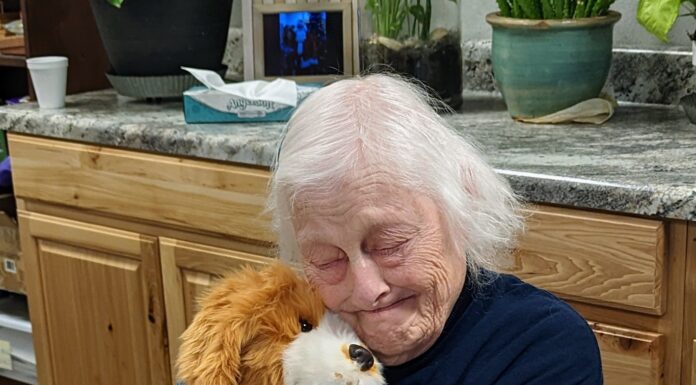 ‘I’m going to call you Lola’