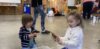 ‘Spiders Aren’t Scary’