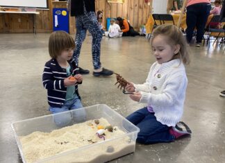 ‘Spiders Aren’t Scary’