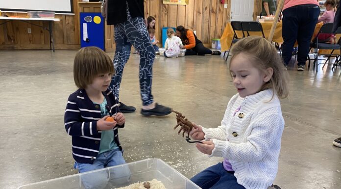 ‘Spiders Aren’t Scary’