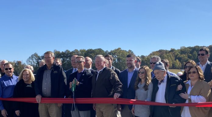 ‘The potential here is remarkable’