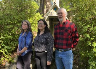 Historical preservation underway at Ave Maria Grotto