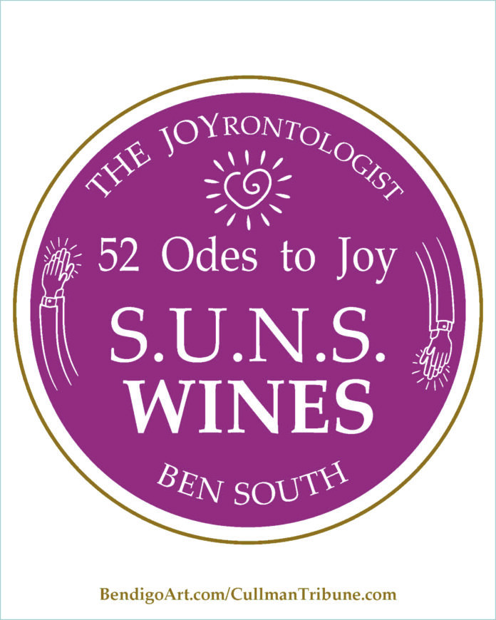 The Joyrontology S.U.N.S. Wines wine red