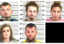 CCSO arrest roundup