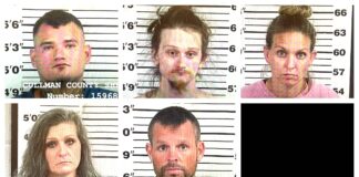 CCSO arrest roundup