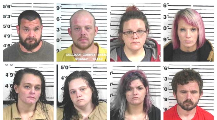 CCSO arrest roundup