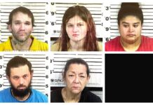 CCSO arrest roundup