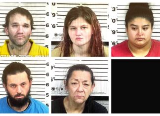 CCSO arrest roundup